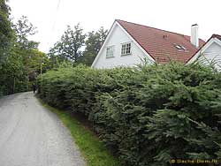 норвежский дом